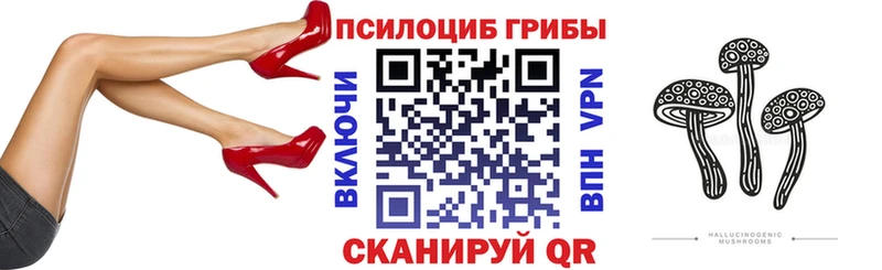 хочу   Макаров  Псилоцибиновые грибы ЛСД 